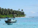 pulau-asu-di-nias-sumatera-utara.jpg