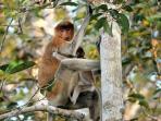 pulau-kaget_20160420_150402.jpg