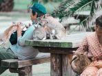 pulau-okunoshima-di-jepang.jpg