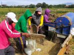 puluhan-petani-padi-bandung-panen_20210104_103417.jpg