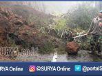 puluhan-pohon-akasia-tumbang-terkena-abu-vulkanik-erupsi-gunung-bromo.jpg