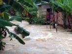 puluhan-rumah-di-kota-baru-jambi-terendam-banjir_20151213_133500.jpg