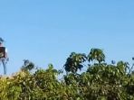 puncak-gunung-lalana_20170109_152901.jpg