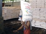 pupuk-indonesia-siap-distribusikan-714092-ton-urea-dan-npk_20221114_141615.jpg