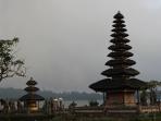 pura_20151207_073858.jpg