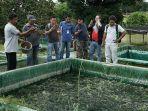 pusat-teknologi-pertanian-inagro-di-parung-bogor.jpg