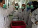pusat-veteriner-farma-pusvetma-kementerian-pertanian.jpg