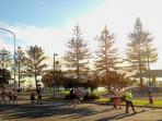 queensland_20150805_115649.jpg