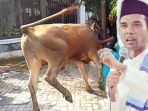 qurban_20180821_125339.jpg