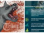 Kronologi ASN di Kupang Tewas Akibat Rabies, 2 Kali Digigit Anjing, Takut Air dan Cahaya
