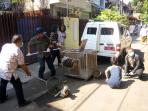 rabies-razia_20150619_070001.jpg
