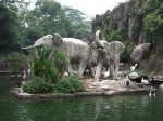 ragunan-1.jpg