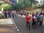 ragunan_20150718_231149.jpg