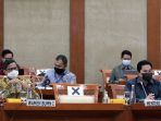 rapat-kerja-komisi-vi-dpr-ri-dengan-menteri-bumn-erick-tohir_20210121_104749.jpg