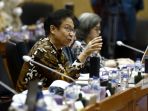 rapat-kerja-menkes-budi-gunadi-sadikin-dengan-komisi-ix-dpr-ri_20230208_190036.jpg