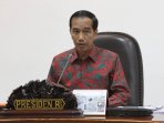 rapat-terbatas_20160329_175927.jpg