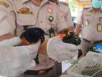 ratusan-burung-gagal-dikirim-ke-parepare.jpg