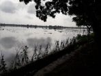 ratusan-hektar-sawah-di-desa-ciganjeng-terendam-air_20171008_121051.jpg