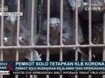 ratusan-kelelawar-di-pasar-hewan-depok.jpg