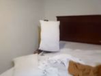 razia_20180202_193947.jpg