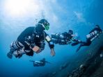 razor-hadirkan-tren-baru-di-dunia-diving-tabung-bukan-di-belaka_20230715_191010.jpg