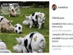 real-madrid-seperti-babi_20160517_143241.jpg