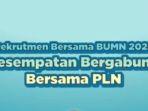 rekrutmen-bersama-bumn-2023-pln-membuka-32-posisi.jpg