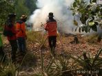relawan-sedang-memadamkan-kebakaran-lahan_20180221_104247.jpg