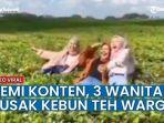 remaja-merusak-kebun-teh-demi-dapatkan-foto-untuk-konten-media-sosial-643.jpg