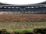renovasi-gbk-persiapan-asian-games-2018_20161019_163702.jpg