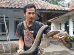 rentul-pawang-ular-saat-diremui-di-rumahnya-desa-windujanten.jpg