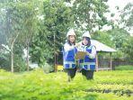 replikasi-kebun-plasma-di-area-penambangan.jpg