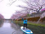 reporter-soranews24-momo-menikmati-hanami-dari-atas-sup-di-sungai-ooka.jpg