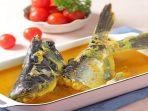 resep-ikan-patin-kuah-kuning.jpg