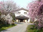 resort-jepang-di-nikko-menawarkan-zero-corona-plan.jpg