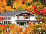restoran-hachimantai-onuma-chayako.jpg