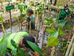 revitalisasi-hutan-mangrove-di-jakarta-utara_20220627_212255.jpg