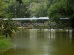 ribang-kemambang_20150620_103845.jpg