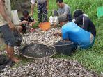 ribuan-ikan-mati-mendadak.jpg