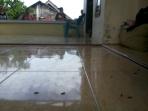 ribuan-ulat-bulu-serbu-rumah-warga_20160122_133313.jpg