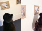 richard-kucing.jpg
