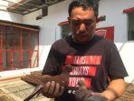 robby-beli-burung-merpati-rp-1-miliar.jpg