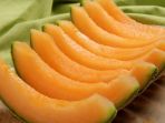 rock-melon_20180308_114143.jpg