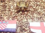 roger-si-kura-kura_20180711_200902.jpg