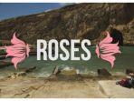 roses-the-chainsmokers.jpg