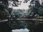 rowo-bayu-satu-hutan-di-banyuwangi-untuk-liburan-akhir-pekan.jpg