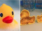 rubber-duck_20180407_124307.jpg