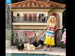 rumah-anjing-mewah-milik-paris-hilton_20160526_203634.jpg