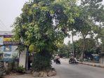 rumah-di-tengah-jalan-212111.jpg