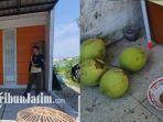 rumah-dukun-pengganda-uang-di-gresik.jpg